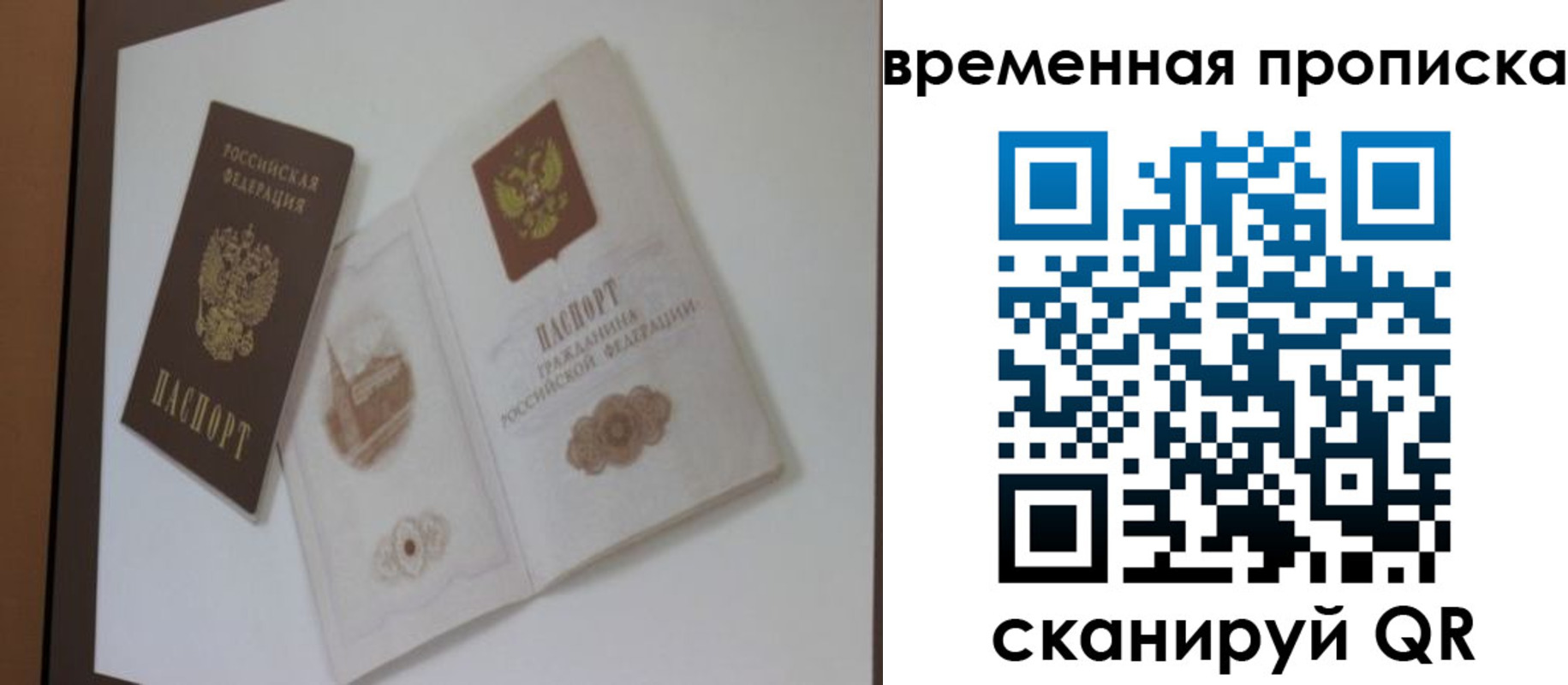 прописка 2025 в Шадринске